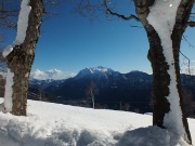 70 la neve resiste appiccicata alla corteccia degli alberi....